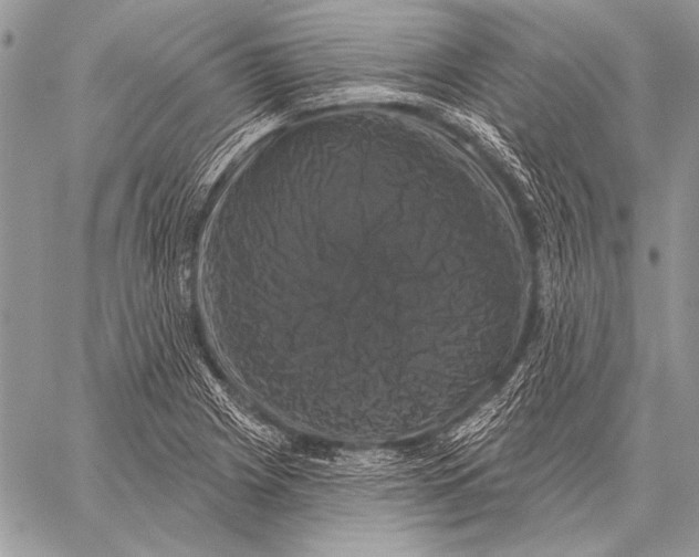 X0000058141225200510171354