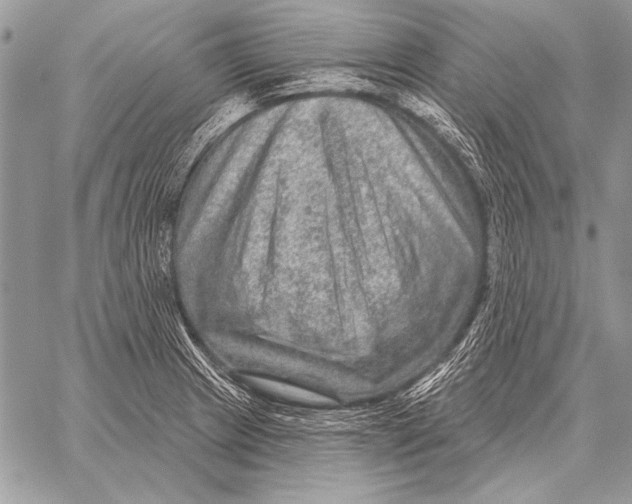X0000058141233200510171354