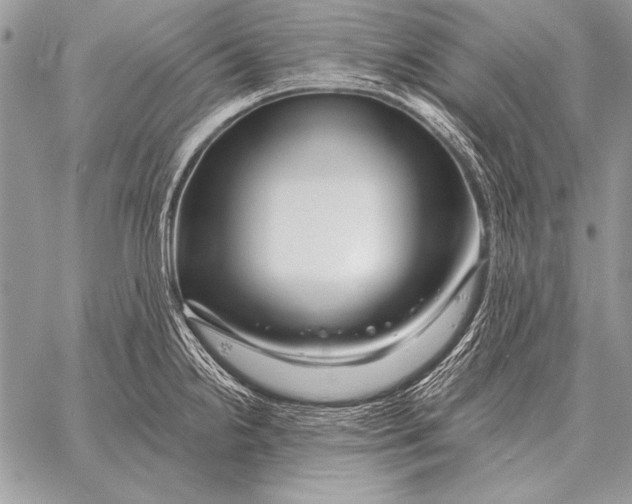 X0000058141238200510171354
