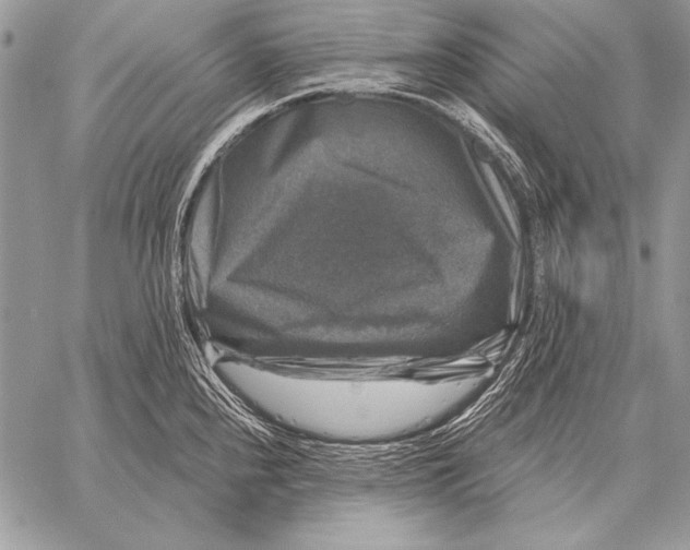 X0000058141240200510171354