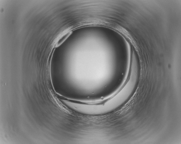 X0000058141242200510171354