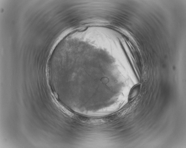 X0000058141243200510171354