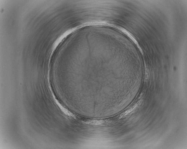 X0000058141245200510171354