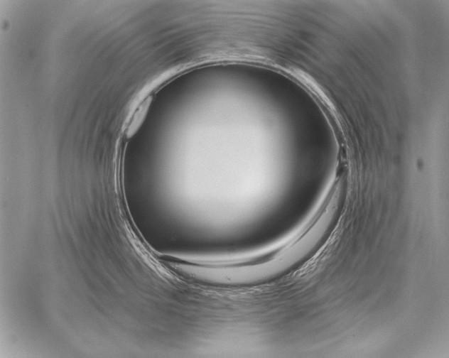 X0000058141246200510171354