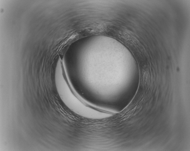 X0000058141250200510171353