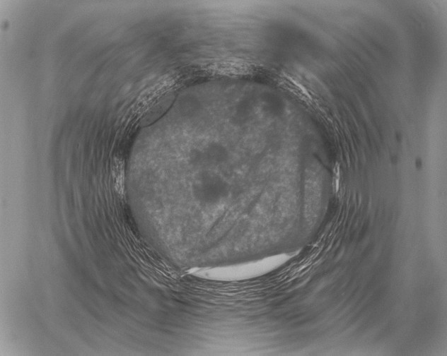X0000058141251200510171353