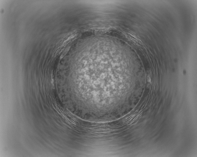 X0000058141252200510171353