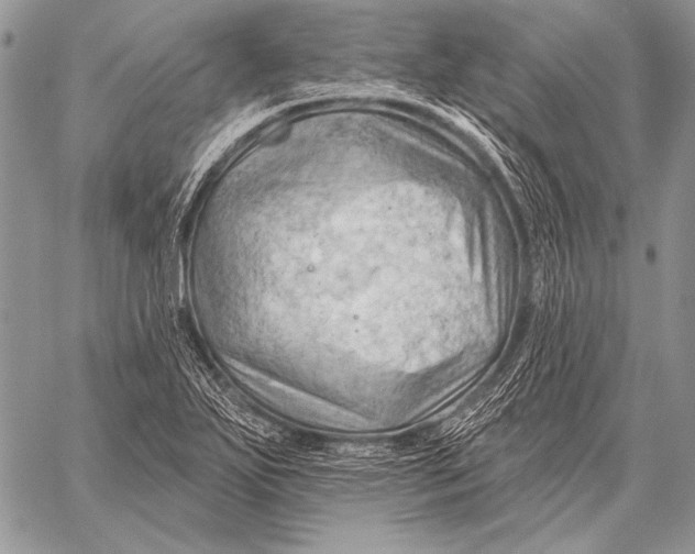 X0000058141271200510171353