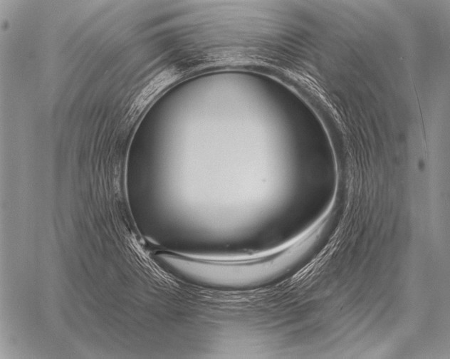 X0000058141273200510171353
