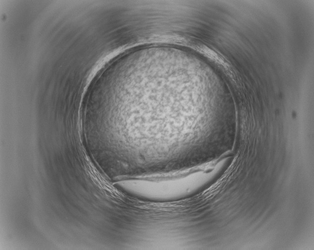 X0000058141280200510171353