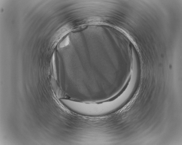 X0000058141289200510171352