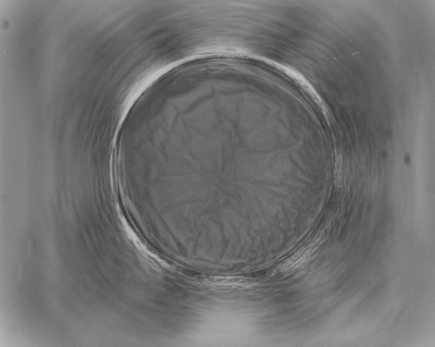 X0000058141295200510171352