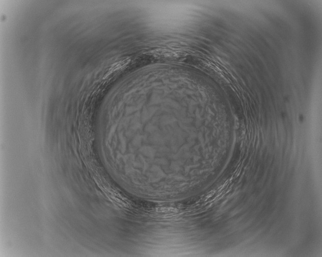 X0000058141297200510171352