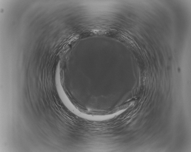 X0000058141298200510171352