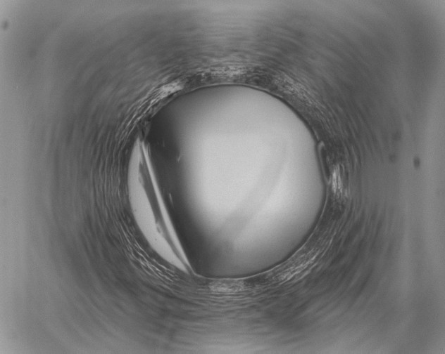 X0000058141299200510171352