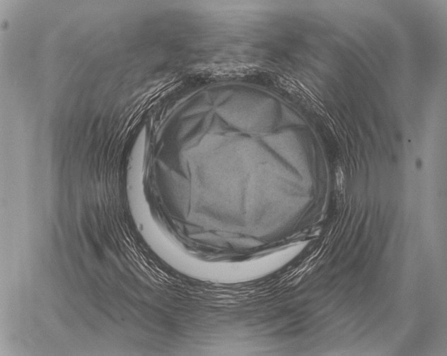 X0000058141300200510171352
