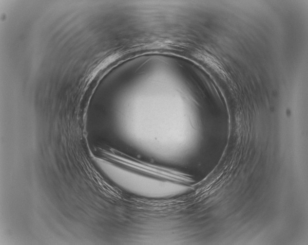 X0000058141308200510171352