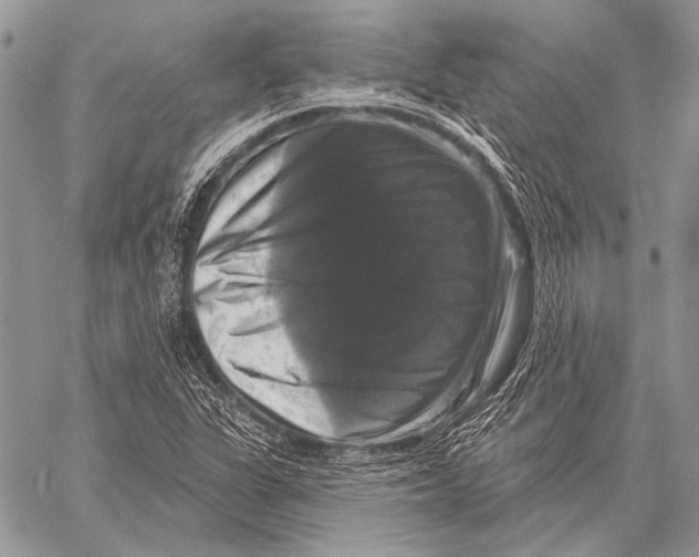 X0000058141311200510171352