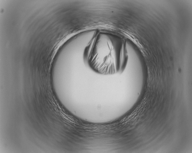 X0000058141316200510171352