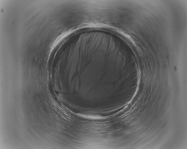 X0000058141319200510171352