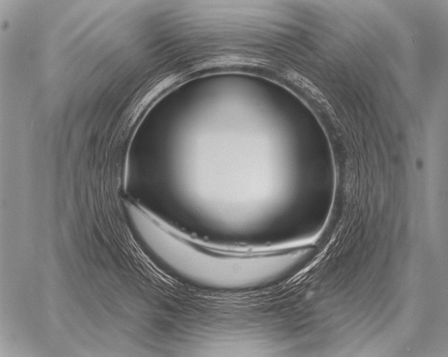 X0000058141321200510171352