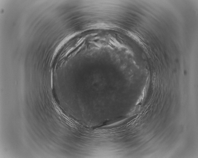 X0000058141323200510171352