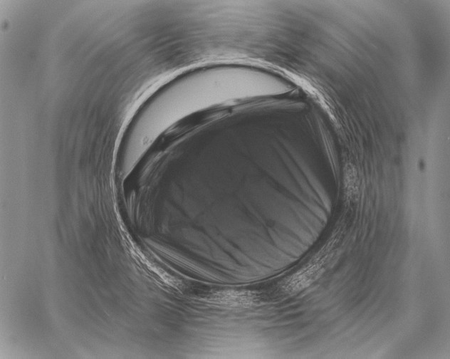 X0000058141327200510171352