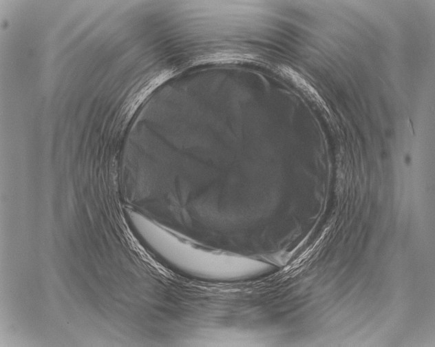X0000058141329200510171352