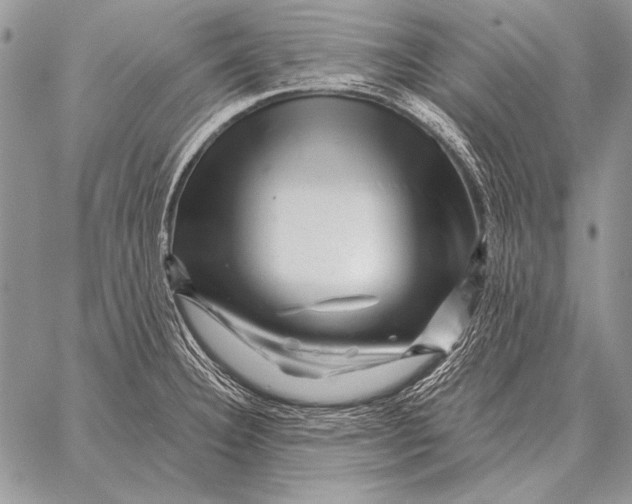 X0000058141332200510171352