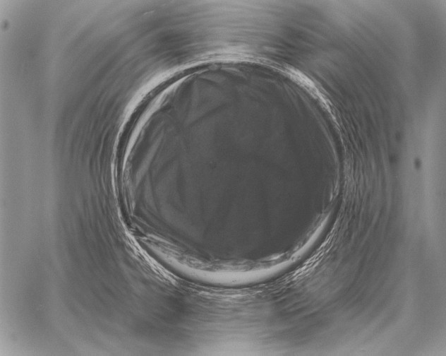 X0000058141334200510171352