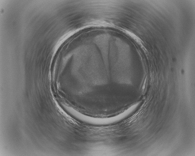 X0000058141335200510171352