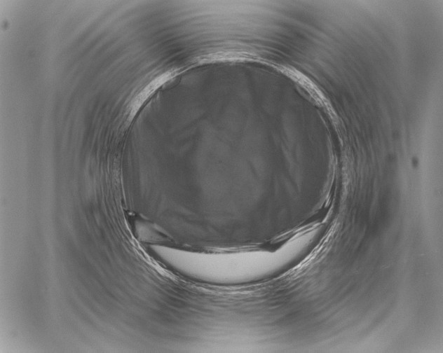 X0000058141337200510171352