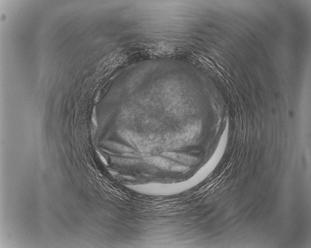 X0000058141345200510171352