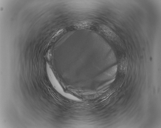 X0000058141346200510171352