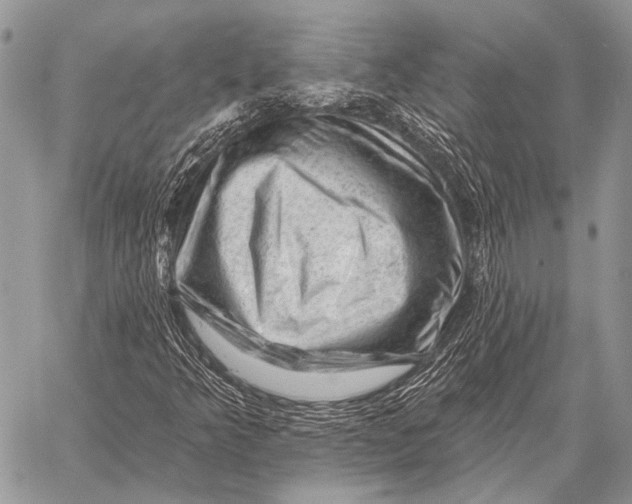 X0000058141349200510171351