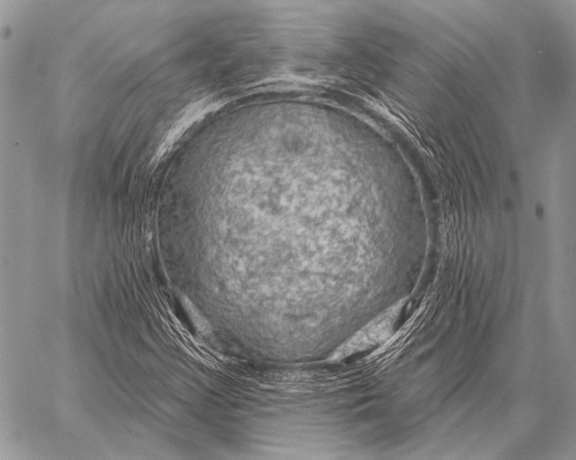 X0000058141355200510171351