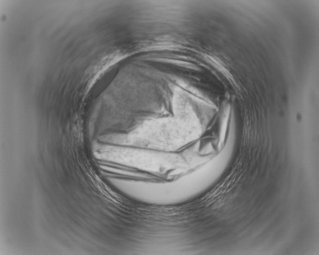 X0000058141356200510171351