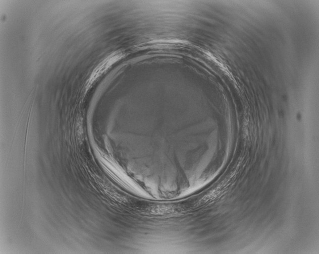 X0000058141362200510171351