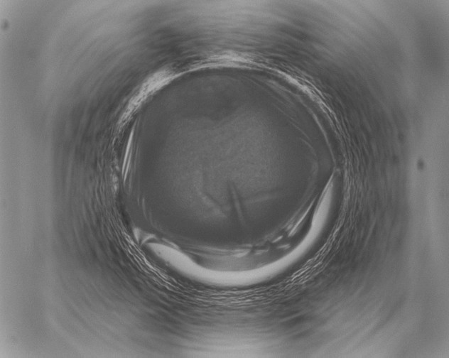 X0000058141363200510171351