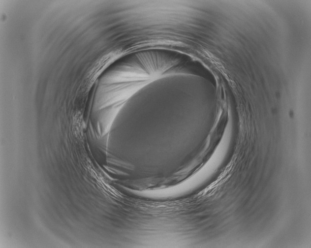 X0000058141369200510171351