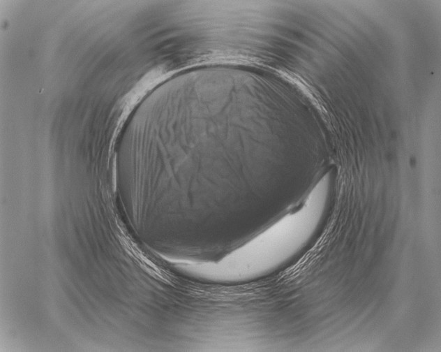 X0000058141371200510171351