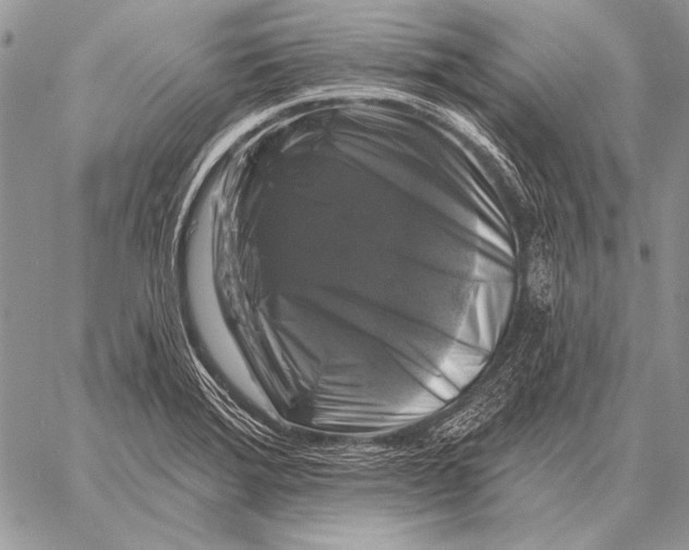 X0000058141372200510171351