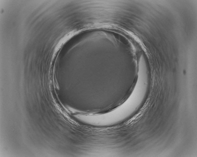X0000058141373200510171351