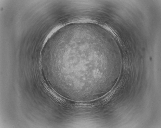 X0000058141374200510171351