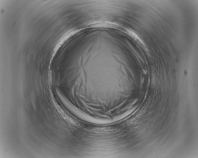 X0000058141376200510171351