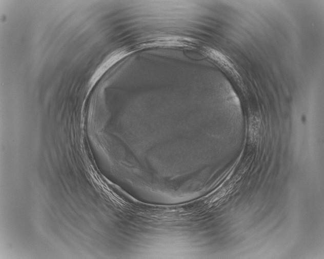 X0000058141378200510171351