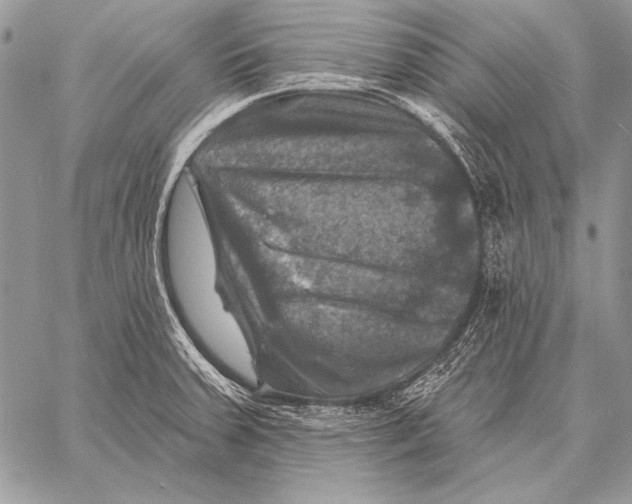 X0000058141379200510171351