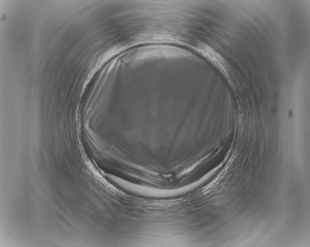 X0000058141382200510171351