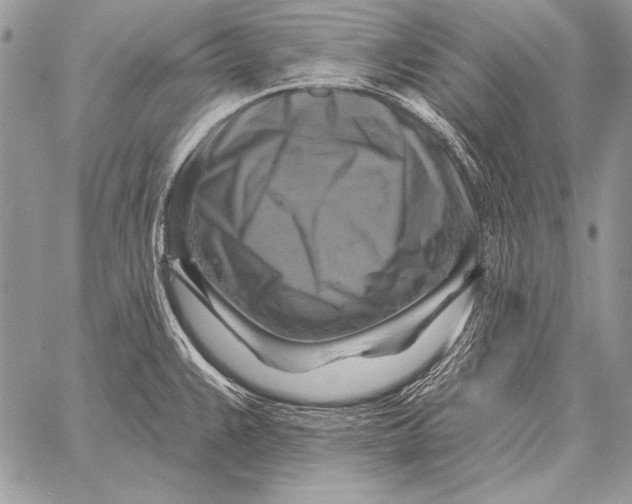 X0000058141383200510171351