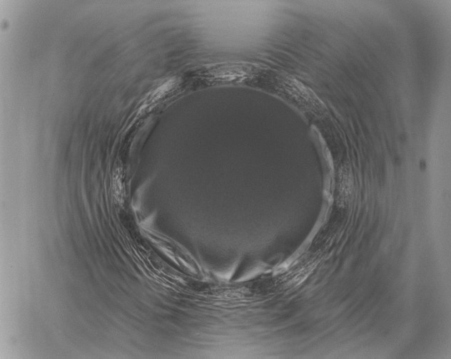 X0000058141394200510171350